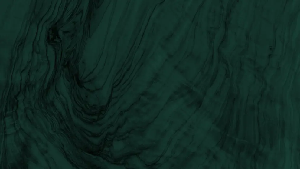 Textur von Holz